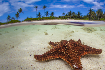 Abaco Islands, Bahamas