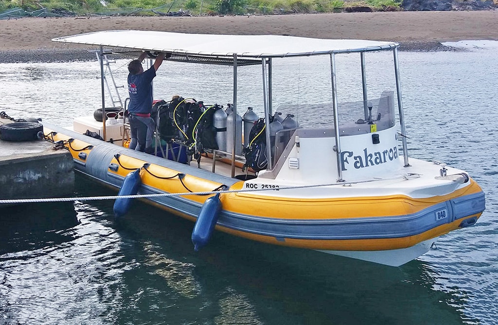 Cabrits Dive Center is ideally to reach all of Dominica's premier northwest dive sites, many of which are just minutes from the wharf.