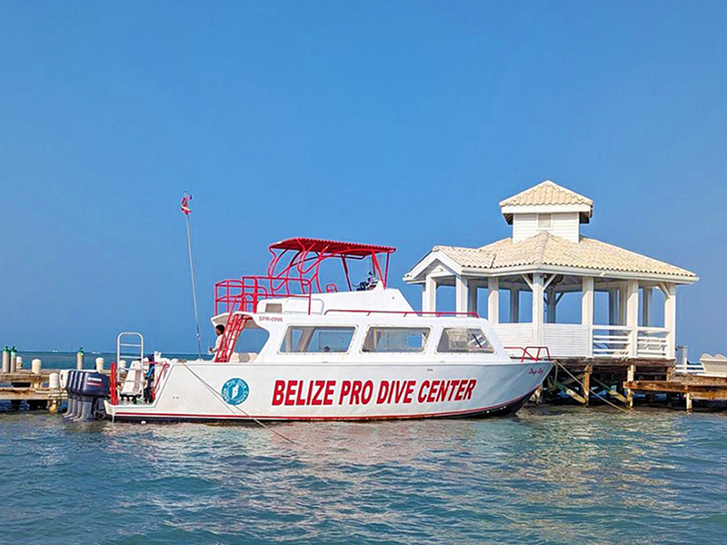 The dive boat fleet includes a large launch with sheltered seating.