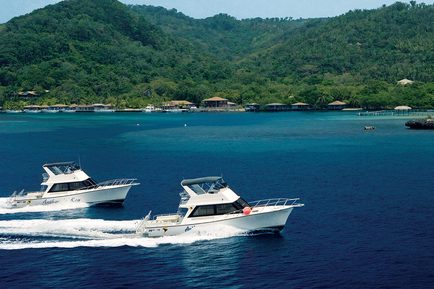 The dive center operates a fleet of custom-built Pro 42 and Pro 48 dive boats.