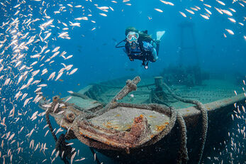 The Espíritu Santo offers several shipwrecks.