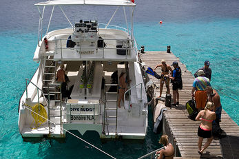 Six dive boats make daily trips to Bonaire's top dive sites.