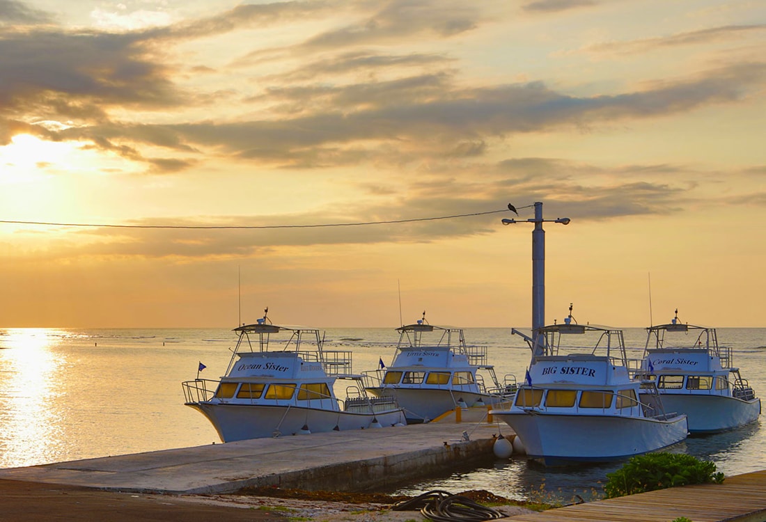 Reef Divers operates a fleet of custom-built Newton Dive boats. 