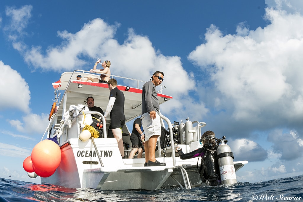 There are easy entry and no crowding aboard the spacious inboard boats operated by Aqua Safaris. 