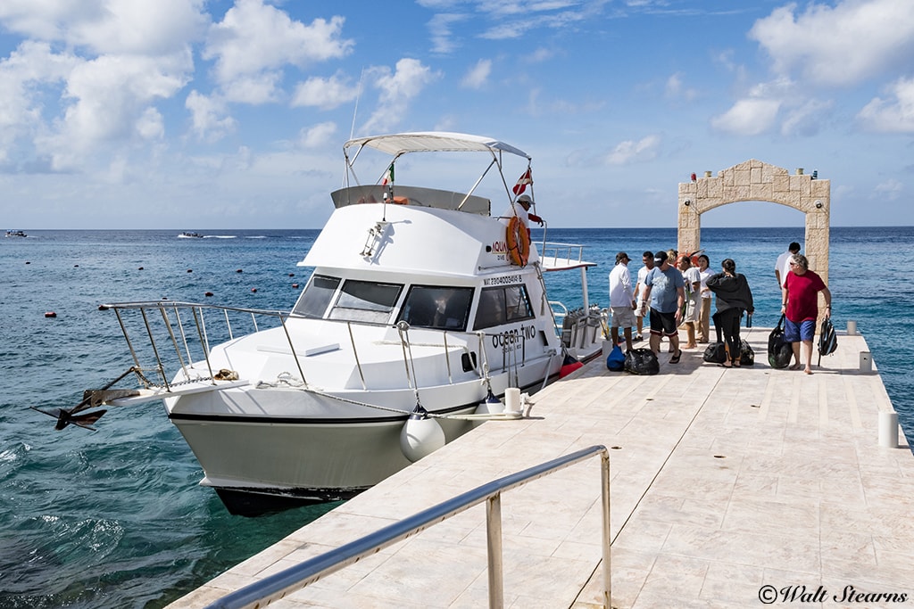 Aqua Safaris picks divers up right at the resort pier.