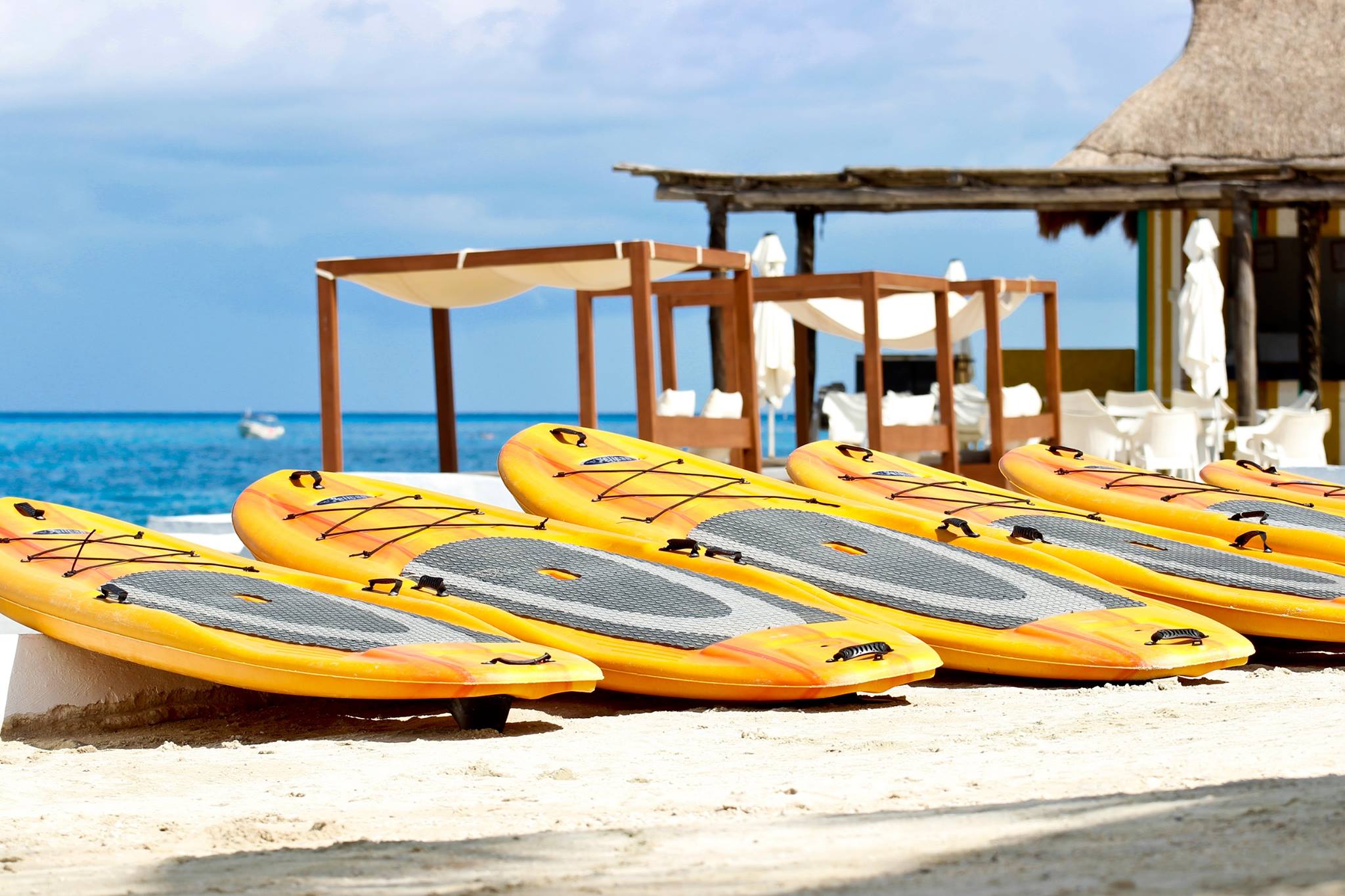SUPs waiting to be taken out