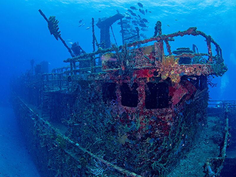 Statia has both historic and modern shipwrecks to discover.