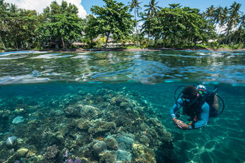 Guests have direct access to the resort's house reef.