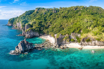 Apo Island is the region's premier dive destination.