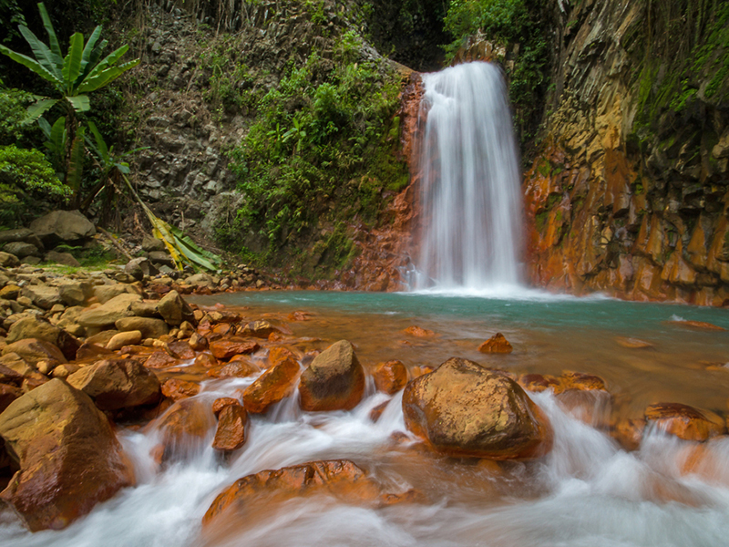 Tours take in a wide range of natural attractions.