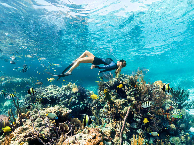 Just offshore of the resort are some of the finest shallow coral reefs in the Bahamas.