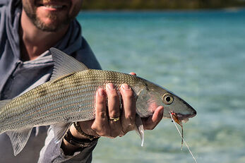 Andros offers world-class bone fishing.