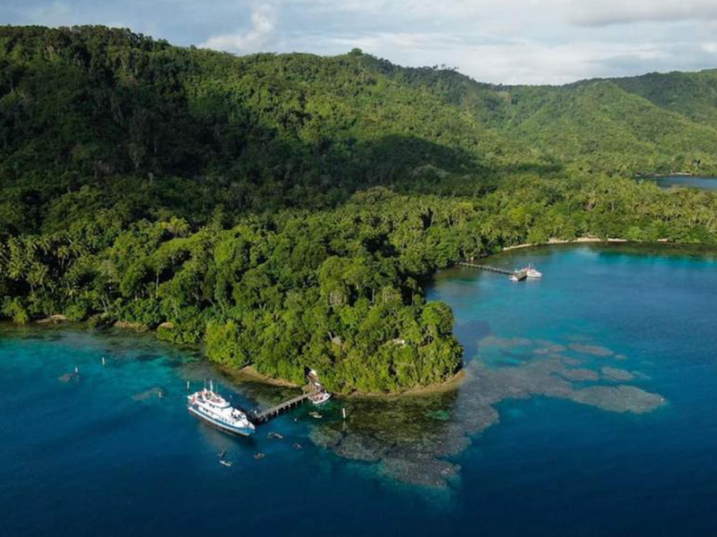 Tawali is nestled into a pristine coastal forest facing a sheltered cove.