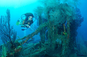 A Grenada wreck displaying a healthy blanket of coral.