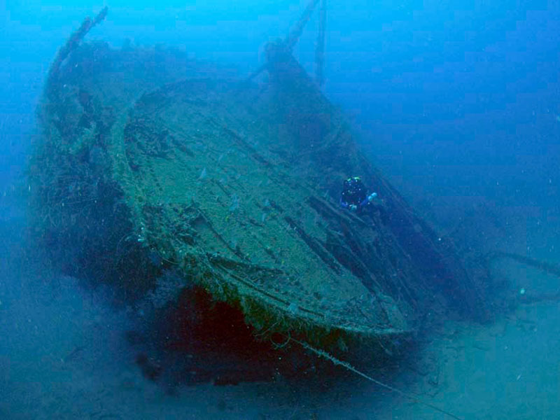 The massive hull of the Bianca C creates a dramatic underwater vista.