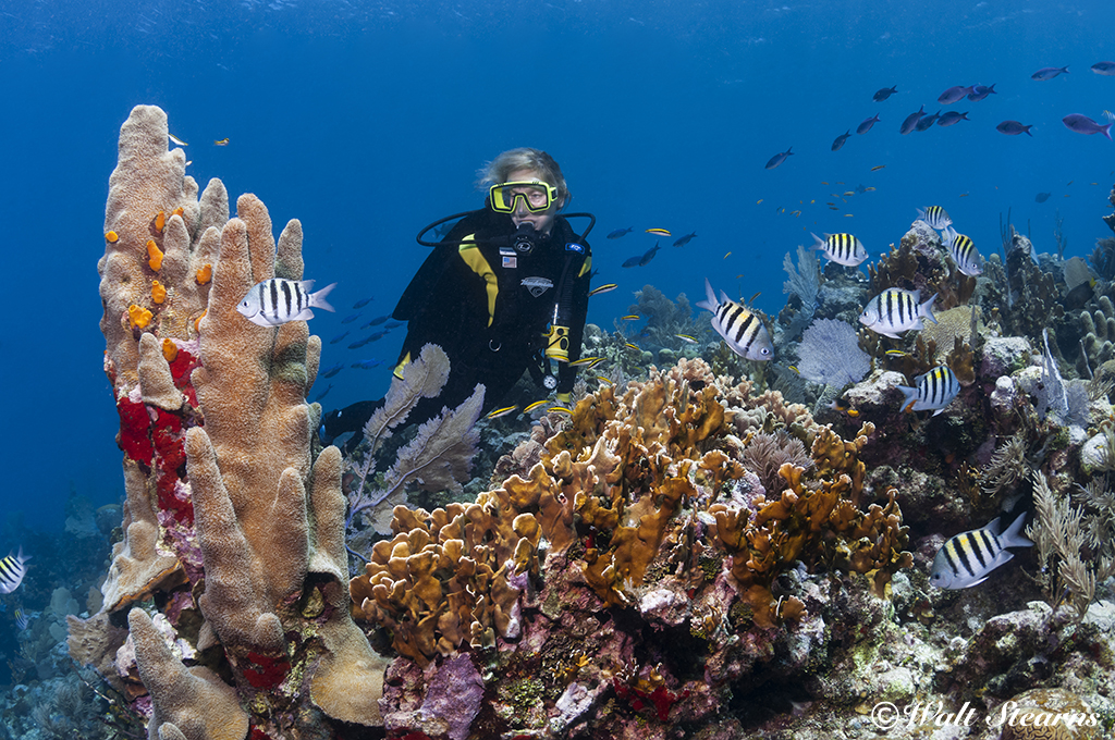 Diving at Turquoise Bay Dive & Beach Resort