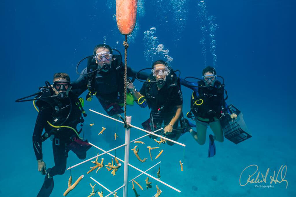 A group of volunteer divers pose at a tree hung with staghorn coral fragments.