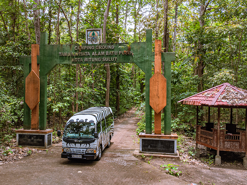 Tour of the Tangkoko Nature Reserve.