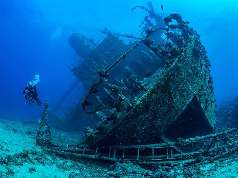 The SS Thistlegorm is the Red Sea's most famous wreck dive.