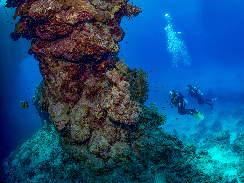 The St. John's Reefs feature unusual pillar-like reef formations.