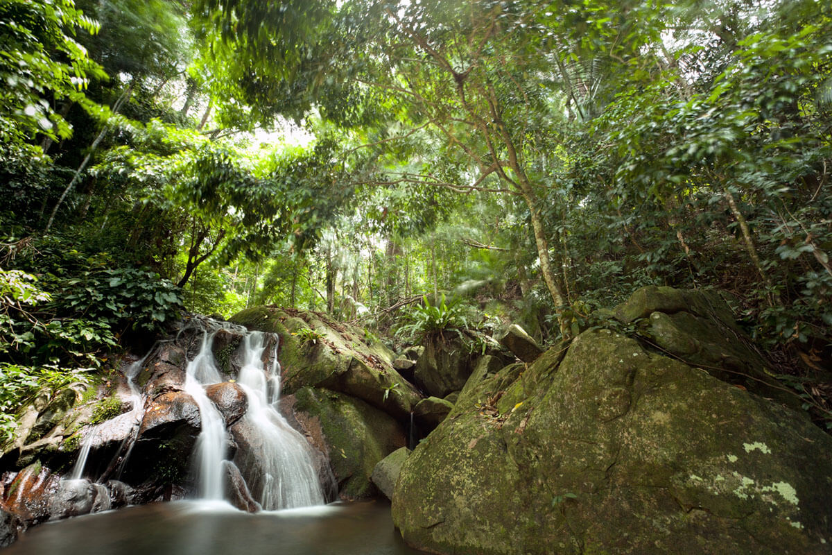 Hikers can follow trails into the heart of Tioman Island's rainforests to discover hidden rivers and waterfalls.