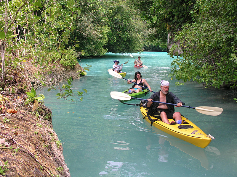 Kayak tours are a popular activity with Sam's tours.