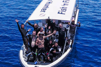 Fish 'n Fins boats provide small group diving services.