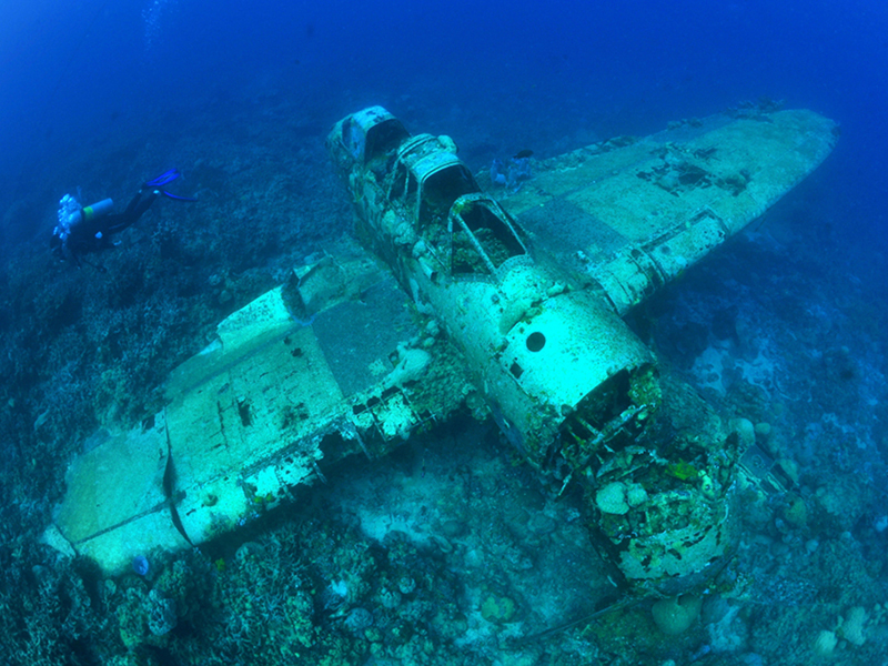 Palau waters hold an impressive collection of WWII shipwrecks and aircraft. 